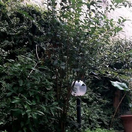 The Secret Garden Hotel 2*